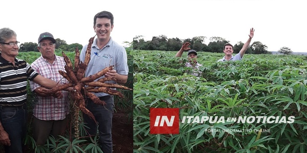 ASEGURAN QUE EL TRABAJO CON PRODUCTORES VA DANDO FRUTOS - Itapúa Noticias