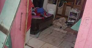 La Nación / Una turba de vecinos atropelló una casa y a la dueña le cortaron el dedo