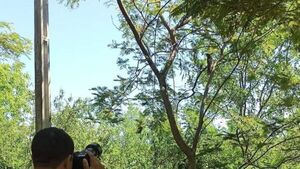 Polémica por construcción de universidad en el Parque Guasú