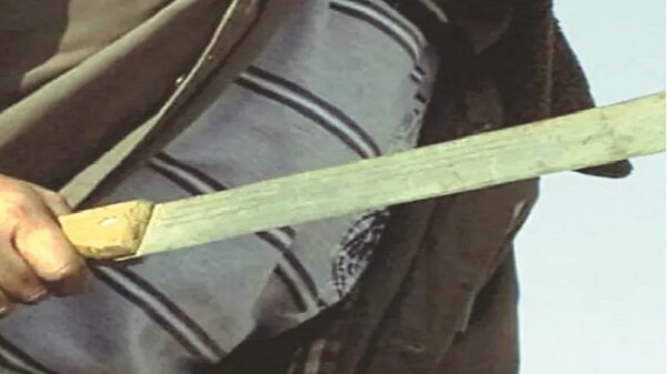 Imputan a joven que macheteó a su mamá y mató a su gato | Noticias Paraguay