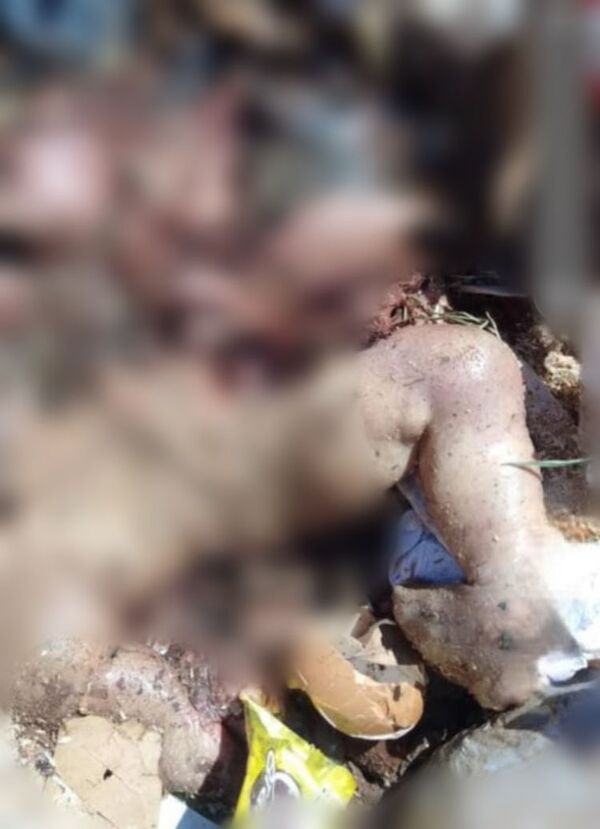 Cadáver de un feto fue encontrado en vertedero de PJC