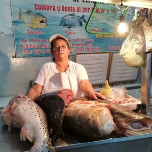 Ofertas de Semana Santa en el Mercado 4 | 1000 Noticias