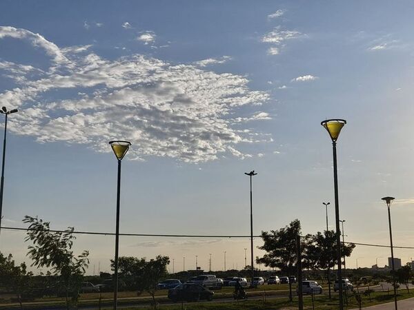 Dejadez convierte a la Costanera en potencial criadero de mosquitos - Nacionales - ABC Color