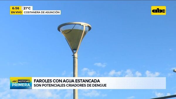 Costanera de Asunción: Faroles son potenciales criadores de mosquitos - ABC Noticias - ABC Color