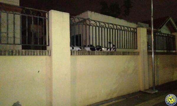 Rescatan 20 gatos del cementerio de Luque •