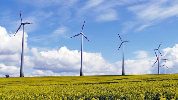 Energía limpia se abre paso - El Independiente