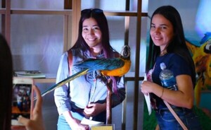 Itaipu presenta proyecto de reinserción y protección del gua’a kaninde