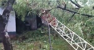 Tormenta derribó arboles y torre de frecuencia policial en Caapucú - Nacionales - ABC Color