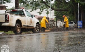 Ramas y árboles caídos son recogidos tras temporal en Ciudad del Este
