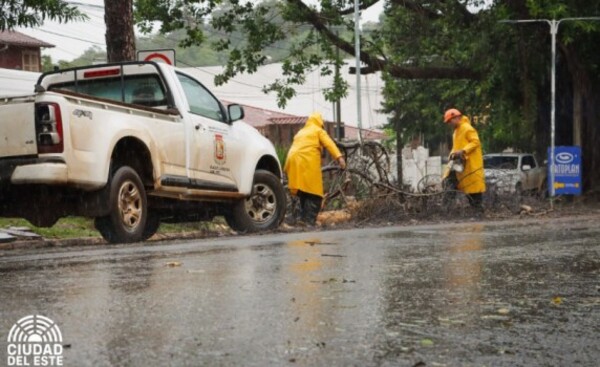 Ramas y árboles caídos son recogidos tras temporal en Ciudad del Este