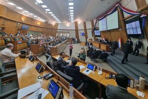 Finalmente, la Cámara de Diputados eliminó subsidio a Petropar - El Trueno