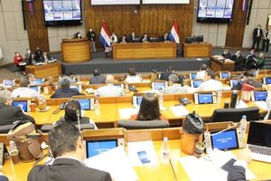 Diputados rechazan fondo de estabilización de combustibles y derogan compensación a Petropar - Radio Positiva