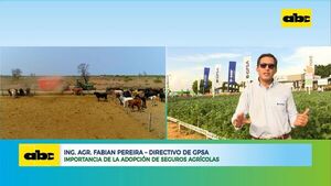 Importancia de la adopción de seguros agrícolas - ABC Rural - ABC Color