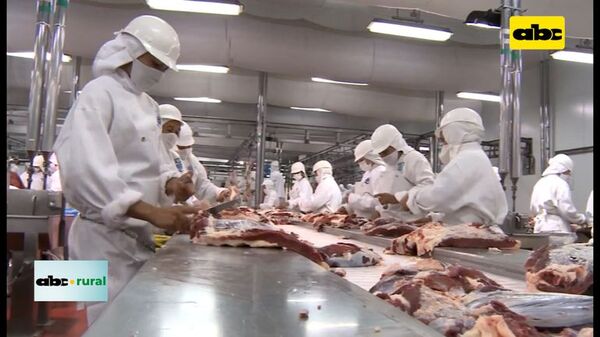 Paraguay tendría su propia tipificación en carne - ABC Rural - ABC Color