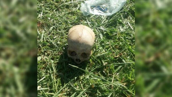 Hallan cráneo humano en una estancia en Misiones