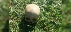 Hallan cráneo humano en una estancia en Misiones - Noticiero Paraguay