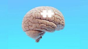 Harvard: como cuidar el cerebro y aumentar el bienestar intelectual