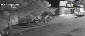 Apuñalan a hombre en intento de asalto - SNT