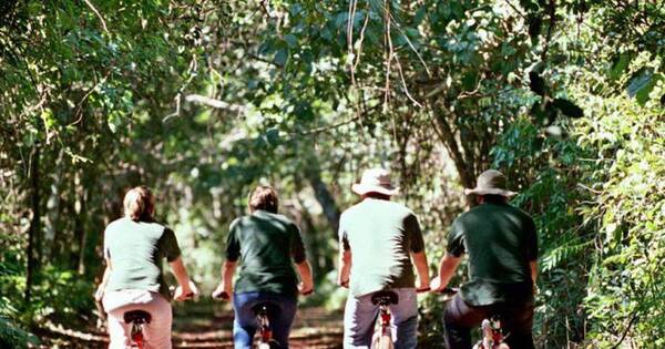 La Nación / Sector de turismo rural teme por cierre de rutas