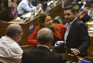 Según Alliana, dictamen de la Contraloría sobre Gobernación de Guairá no es suficiente - Nacionales - ABC Color