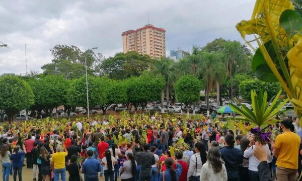 Multitudes en misas de Domingo de Ramos enparroquias de Alto Paraná después de dos años – Diario TNPRESS
