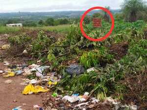 Puercos han acumulado 250 metros de basuras en un tramo de Arroyo Porã