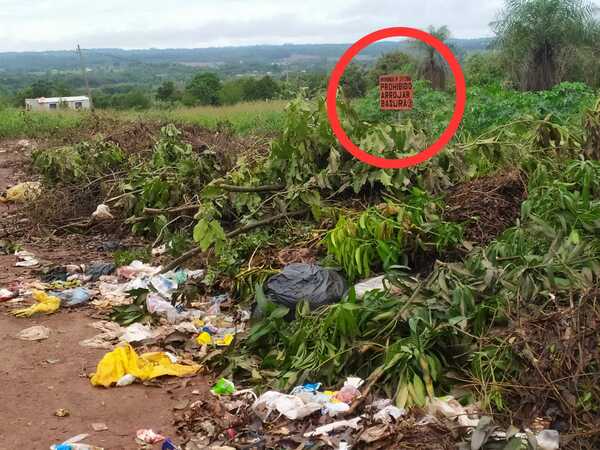 Puercos han acumulado 250 metros de basuras en un tramo de Arroyo Porã