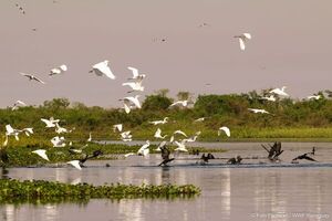 Turismo religioso a orillas del Pantanal - Viajes - ABC Color