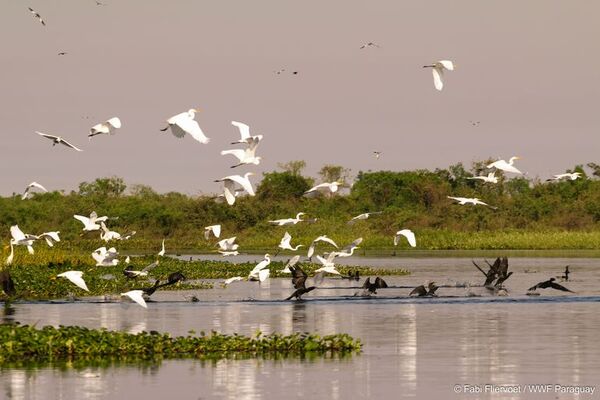 Turismo religioso a orillas del Pantanal - Viajes - ABC Color