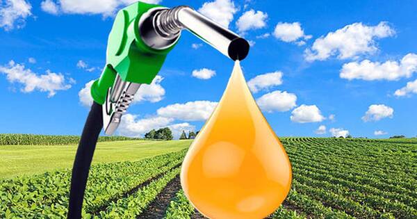 La Nación / Reemplazar diésel por biodiesel: deben crearse más incentivos y convertir el transporte público