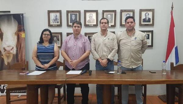 Braford y Hampshire Down juntos de nuevo en la pista (y con presencia de público)