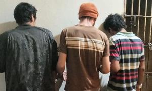 Detienen a tres sujetos, recuperan objetos robados e incautan supuesta marihuana en San José de los Arroyos - OviedoPress