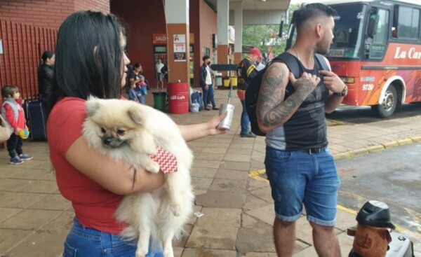 Empresa de transporte se negó a subir a un perrito para viajar