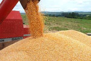 Exportaciones caen en el primer trimestre como efecto de una menor producción de granos