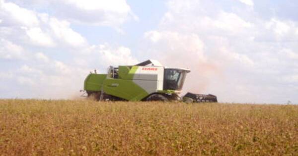 La Nación / Los altos precios de commodities agrícolas podrían sostenerse en el corto plazo