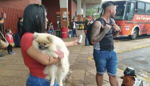Crónica / ¡Ndeee! no dejaron viajar a jagua'i en colectivo