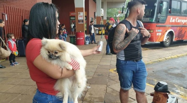 Empresa de transporte se negó a subir a un perrito para viajar - Noticiero Paraguay