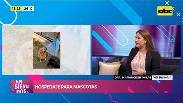 Hospedaje para mascotas - Ensiestados - ABC Color