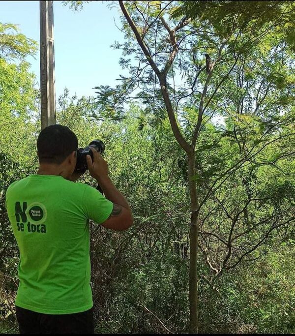 Parque Guasu: construcción de universidad tendrá impacto en fauna y flora, advierten - Nacionales - ABC Color