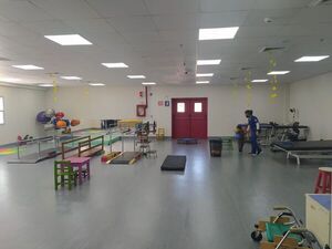 Centro TEA del IPS, iniciativa que no tiene fecha - Nacionales - ABC Color