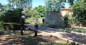 Un niño muere al caerle encima un árbol en Villarrica | 1000 Noticias