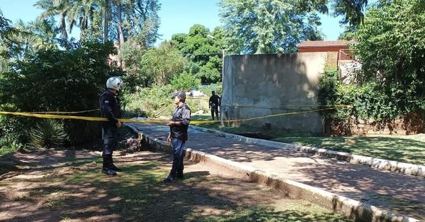 Un niño muere al caerle encima un árbol en Villarrica | 1000 Noticias