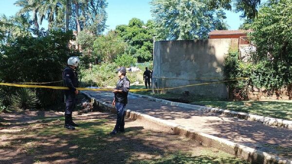 Niño muere aplastado por un árbol en parque de Villarrica