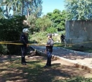 Tragedia en Villarrica: Niño muere aplastado por un árbol - Paraguay.com