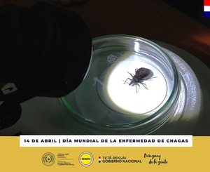 Chagas: detección precoz es la clave para ampliar cobertura del diagnóstico - .::Agencia IP::.