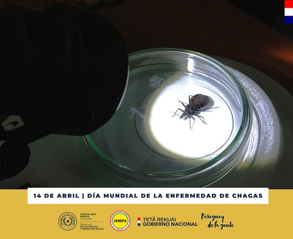 Chagas: detección precoz es la clave para ampliar cobertura del diagnóstico - .::Agencia IP::.