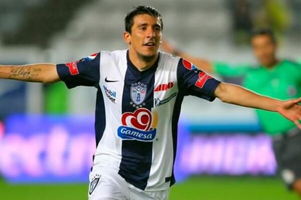Pájaro marca en la Libertadores