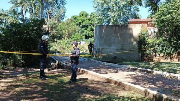 Niño muere aplastado por un árbol en el parque de Villarrica