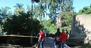 La Nación / Tragedia en parque de Villarrica: niño muere aplastado por un árbol