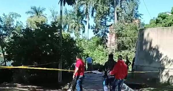 La Nación / Tragedia en parque de Villarrica: niño muere aplastado por un árbol